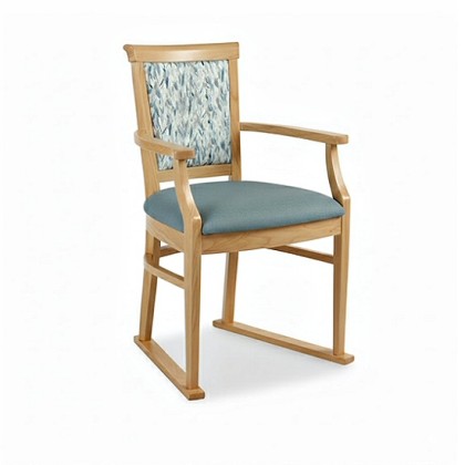 Nice Dining Chair with Skis