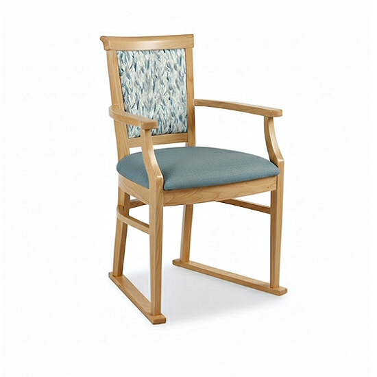 Nice Dining Chair with Skis